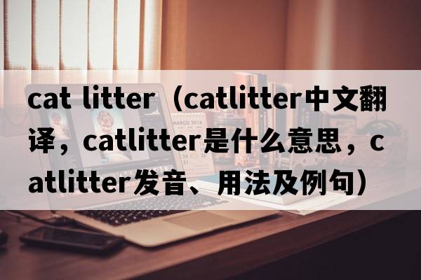 cat litter（catlitter中文翻譯，catlitter是什么意思，catlitter發(fā)音、用法及例句）