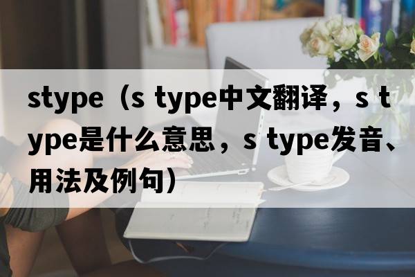 stype（s type中文翻譯，s type是什么意思，s type發(fā)音、用法及例句）