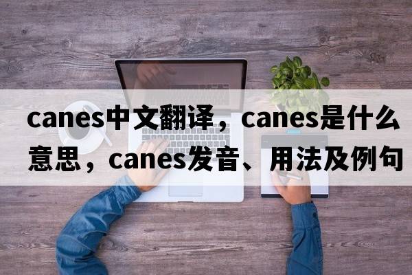 canes中文翻譯，canes是什么意思，canes發(fā)音、用法及例句