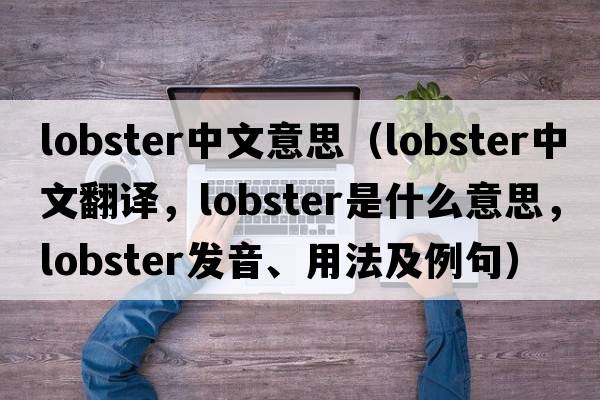 lobster中文意思（lobster中文翻譯，lobster是什么意思，lobster發(fā)音、用法及例句）