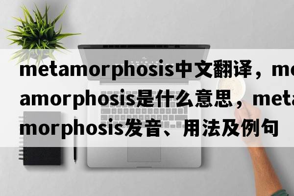 metamorphosis中文翻譯，metamorphosis是什么意思，metamorphosis發(fā)音、用法及例句