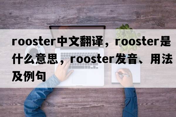 rooster中文翻譯，rooster是什么意思，rooster發(fā)音、用法及例句