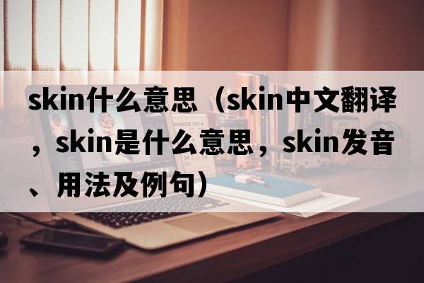 skin什么意思（skin中文翻譯，skin是什么意思，skin發(fā)音、用法及例句）