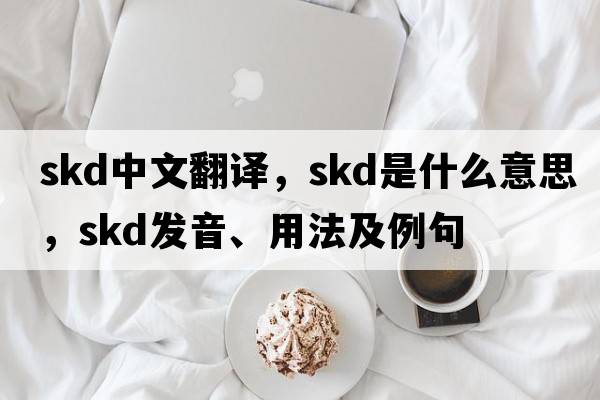 skd中文翻譯，skd是什么意思，skd發(fā)音、用法及例句