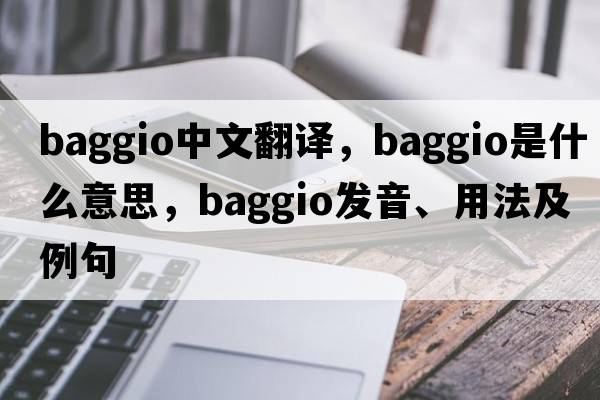 Baggio中文翻譯，Baggio是什么意思，Baggio發(fā)音、用法及例句