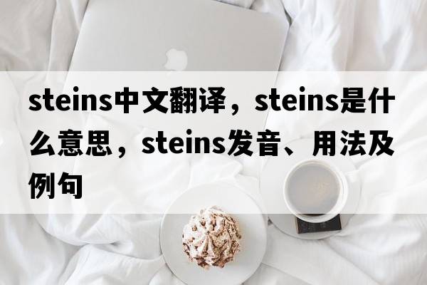 steins中文翻譯，steins是什么意思，steins發(fā)音、用法及例句