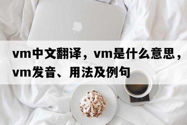 vm中文翻譯，vm是什么意思，vm發(fā)音、用法及例句
