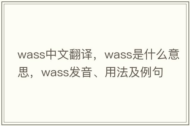 WASS中文翻譯，WASS是什么意思，WASS發(fā)音、用法及例句