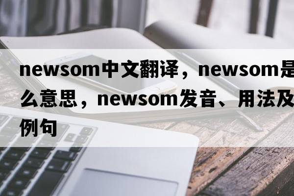 Newsom中文翻譯，Newsom是什么意思，Newsom發(fā)音、用法及例句