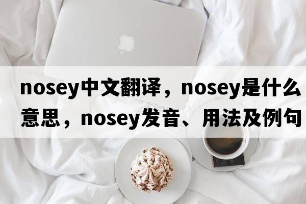 nosey中文翻譯，nosey是什么意思，nosey發(fā)音、用法及例句