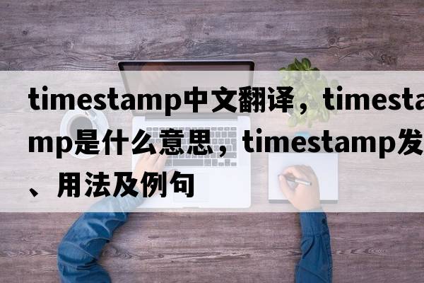 timestamp中文翻譯，timestamp是什么意思，timestamp發(fā)音、用法及例句