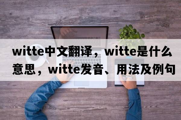 witte中文翻譯，witte是什么意思，witte發(fā)音、用法及例句