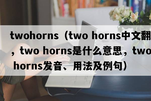 twohorns（two horns中文翻譯，two horns是什么意思，two horns發(fā)音、用法及例句）