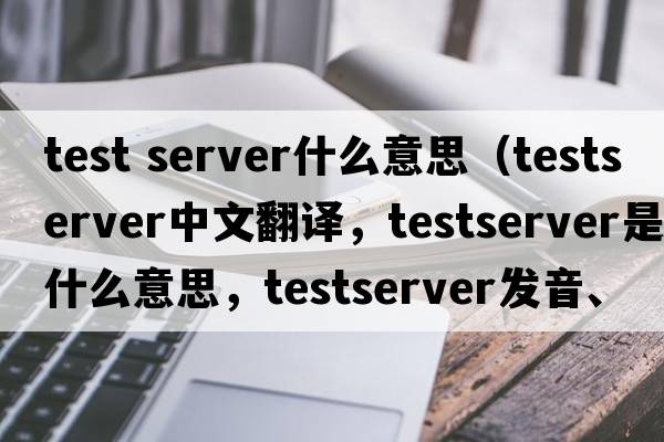 test server什么意思（testserver中文翻譯，testserver是什么意思，testserver發(fā)音、用法及例句）