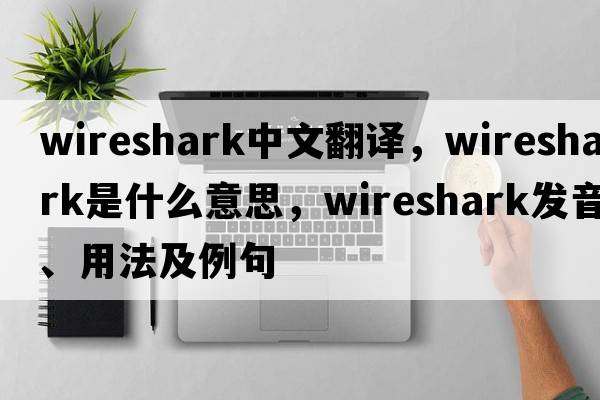 wireshark中文翻譯，wireshark是什么意思，wireshark發(fā)音、用法及例句