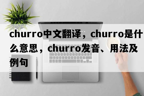 churro中文翻譯，churro是什么意思，churro發(fā)音、用法及例句
