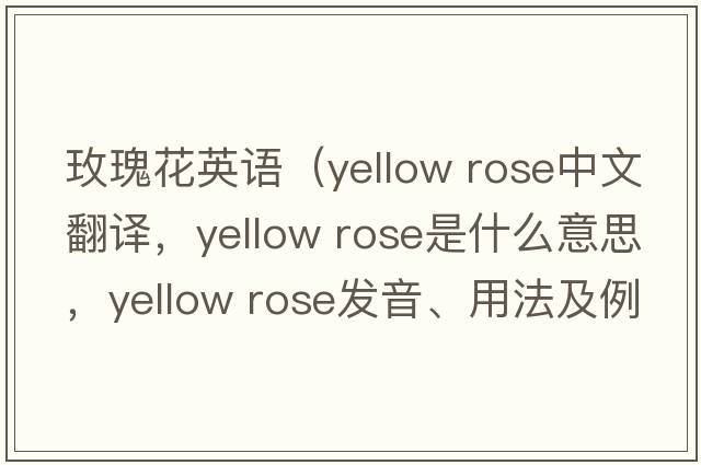 玫瑰花英語(yǔ)（yellow rose中文翻譯，yellow rose是什么意思，yellow rose發(fā)音、用法及例句）
