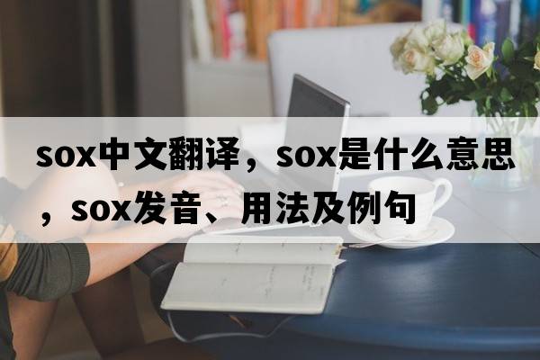 sox中文翻譯，sox是什么意思，sox發(fā)音、用法及例句