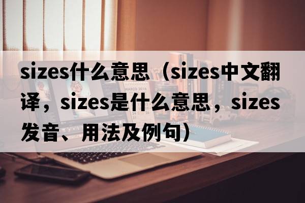 sizes什么意思（sizes中文翻譯，sizes是什么意思，sizes發(fā)音、用法及例句）
