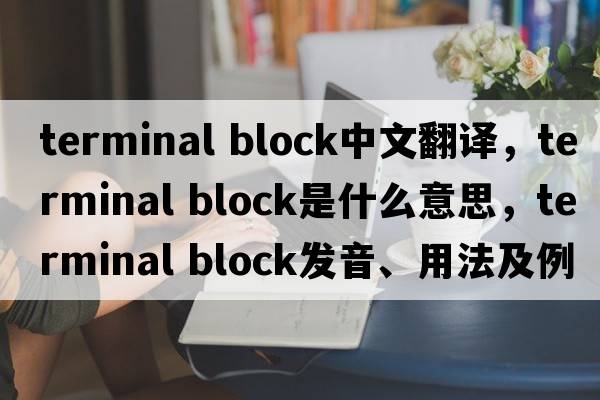 terminal block中文翻譯，terminal block是什么意思，terminal block發(fā)音、用法及例句