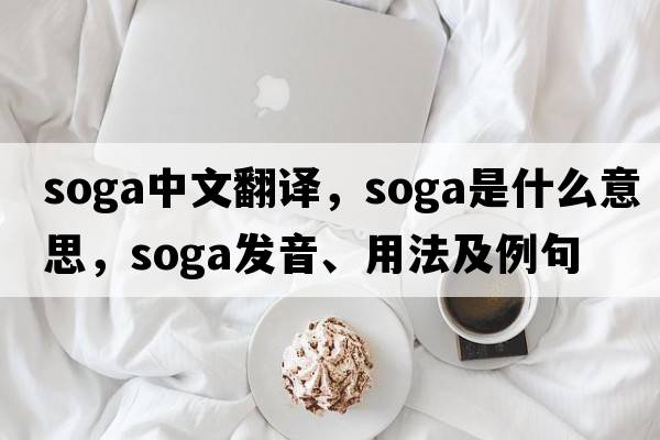 soga中文翻譯，soga是什么意思，soga發(fā)音、用法及例句