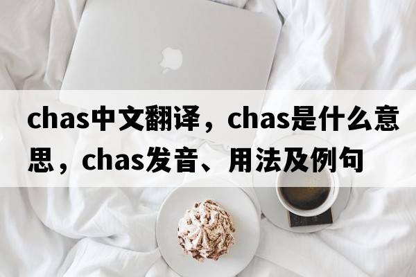chas中文翻譯，chas是什么意思，chas發(fā)音、用法及例句
