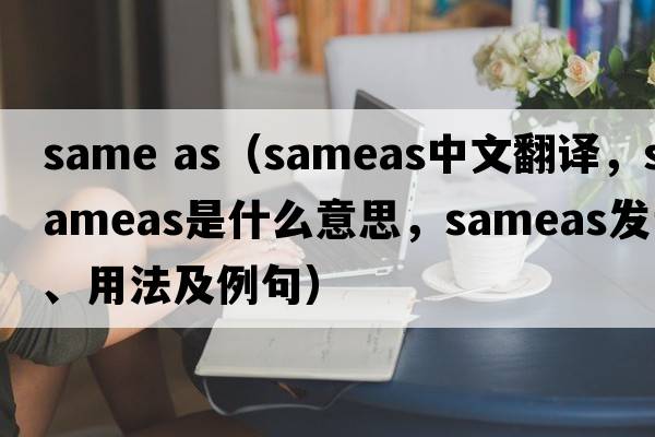 same as（sameas中文翻譯，sameas是什么意思，sameas發(fā)音、用法及例句）