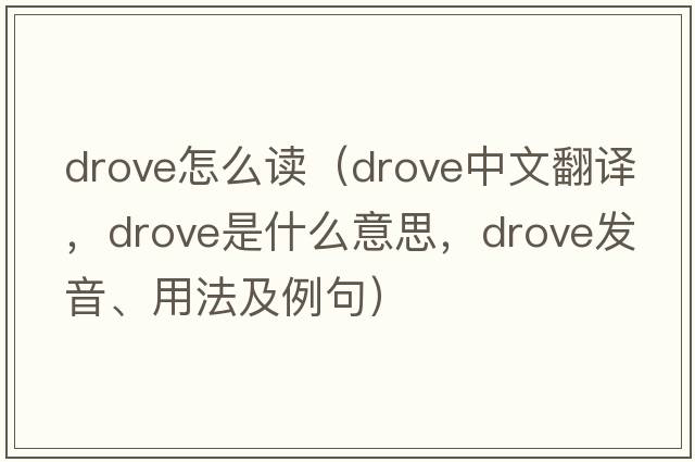 drove怎么讀（drove中文翻譯，drove是什么意思，drove發(fā)音、用法及例句）