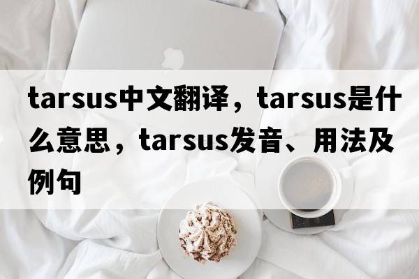 tarsus中文翻譯，tarsus是什么意思，tarsus發(fā)音、用法及例句