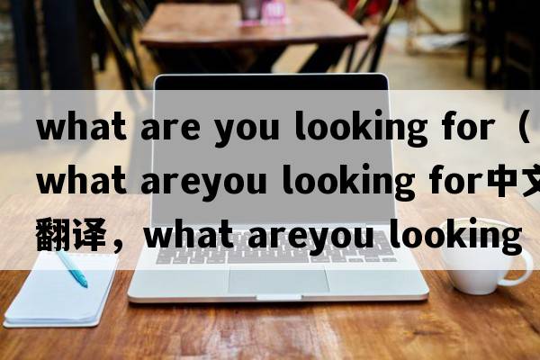 what are you looking for（what areyou looking for中文翻譯，what areyou looking for是什么意思，what areyou lookin
