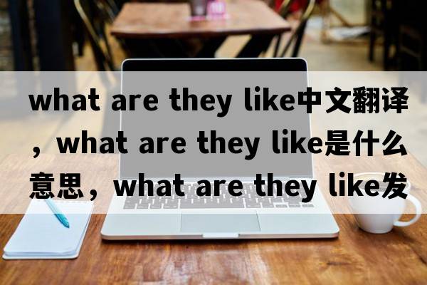 what are they like中文翻譯，what are they like是什么意思，what are they like發(fā)音、用法及例句