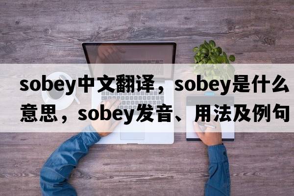 sobey中文翻譯，sobey是什么意思，sobey發(fā)音、用法及例句