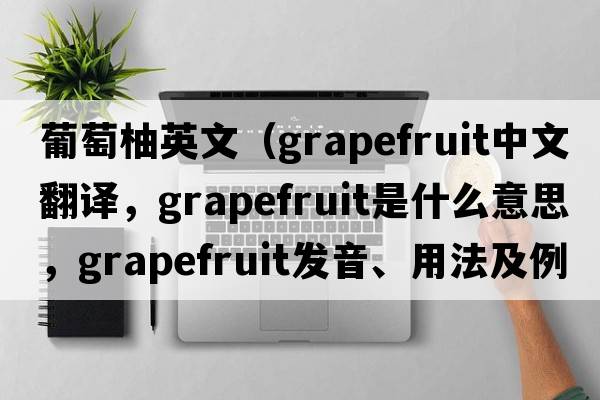 葡萄柚英文（grapefruit中文翻譯，grapefruit是什么意思，grapefruit發(fā)音、用法及例句）