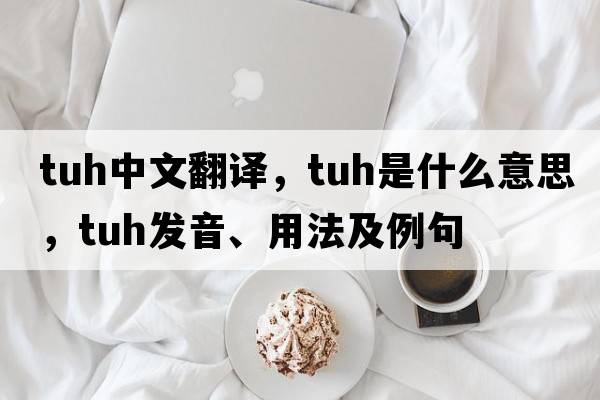 TUH中文翻譯，TUH是什么意思，TUH發(fā)音、用法及例句