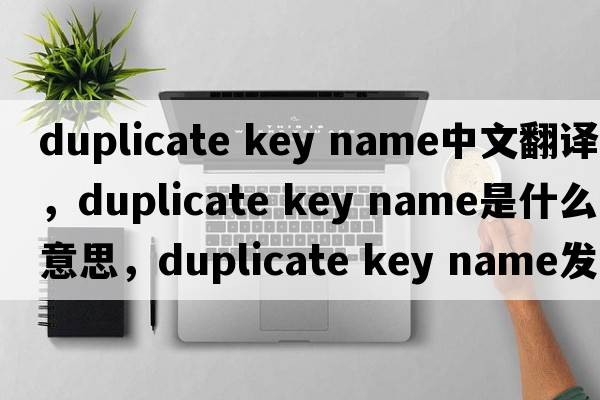 duplicate key name中文翻譯，duplicate key name是什么意思，duplicate key name發(fā)音、用法及例句