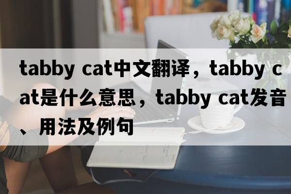 tabby cat中文翻譯，tabby cat是什么意思，tabby cat發(fā)音、用法及例句