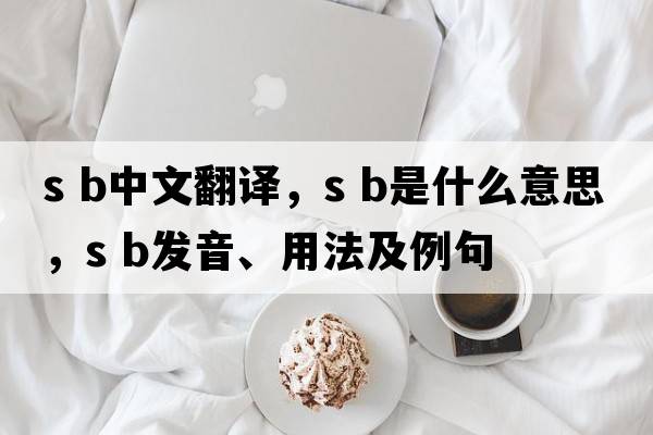 s b中文翻譯，s b是什么意思，s b發(fā)音、用法及例句