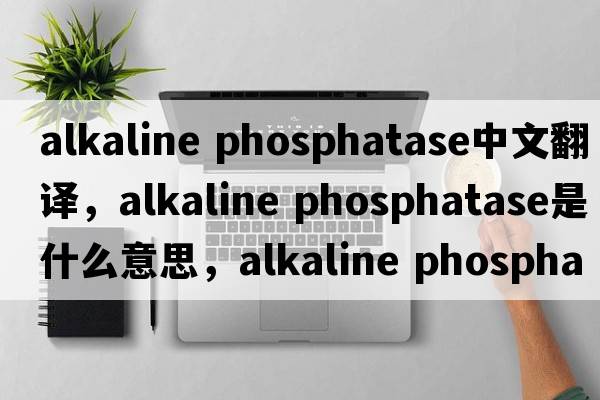 alkaline phosphatase中文翻譯，alkaline phosphatase是什么意思，alkaline phosphatase發(fā)音、用法及例句