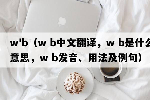w'b（W B中文翻譯，W B是什么意思，W B發(fā)音、用法及例句）