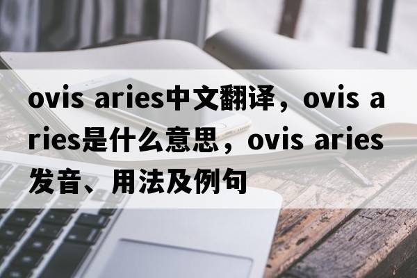 ovis aries中文翻譯，ovis aries是什么意思，ovis aries發(fā)音、用法及例句