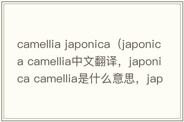 camellia japonica（japonica camellia中文翻譯，japonica camellia是什么意思，japonica camellia發(fā)音、用法及例句）