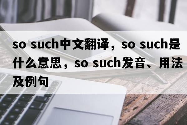 so such中文翻譯，so such是什么意思，so such發(fā)音、用法及例句