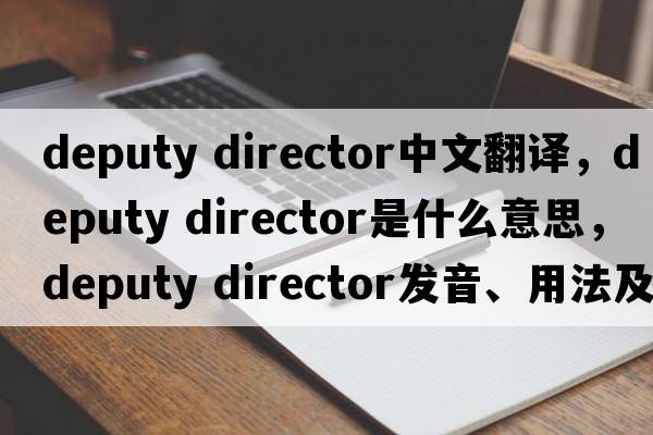 deputy director中文翻譯，deputy director是什么意思，deputy director發(fā)音、用法及例句