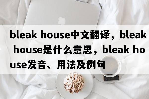 bleak house中文翻譯，bleak house是什么意思，bleak house發(fā)音、用法及例句
