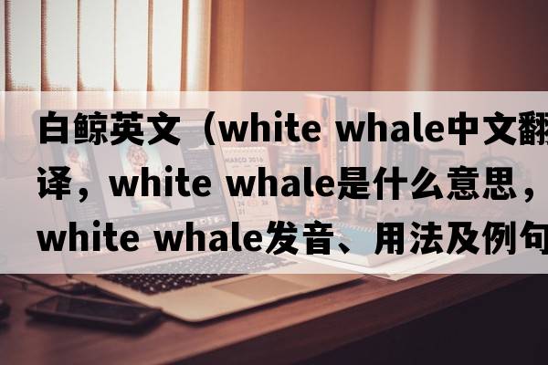 白鯨英文（white whale中文翻譯，white whale是什么意思，white whale發(fā)音、用法及例句）