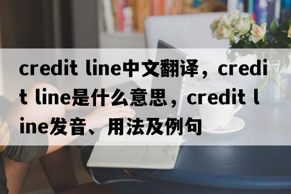 credit line中文翻譯，credit line是什么意思，credit line發(fā)音、用法及例句
