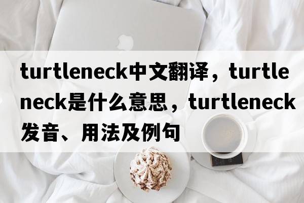 turtleneck中文翻譯，turtleneck是什么意思，turtleneck發(fā)音、用法及例句