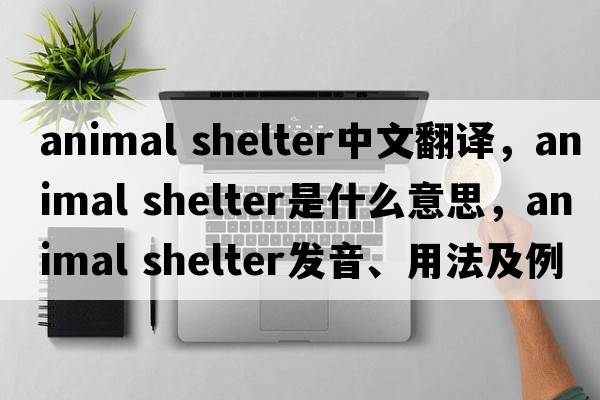 animal shelter中文翻譯，animal shelter是什么意思，animal shelter發(fā)音、用法及例句
