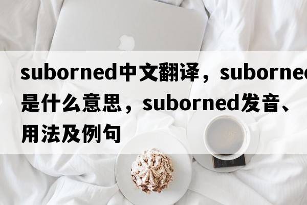 suborned中文翻譯，suborned是什么意思，suborned發(fā)音、用法及例句