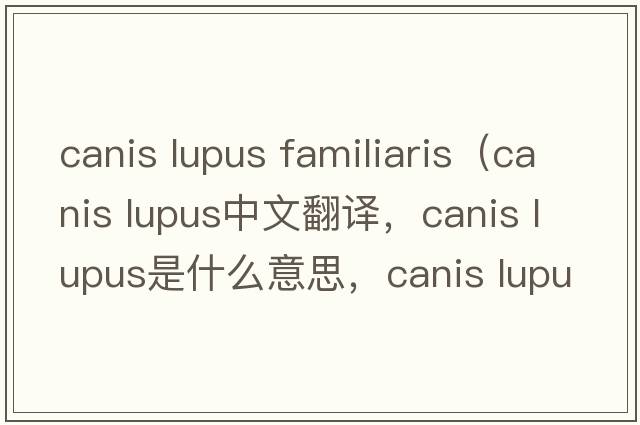 canis lupus familiaris（canis lupus中文翻譯，canis lupus是什么意思，canis lupus發(fā)音、用法及例句）